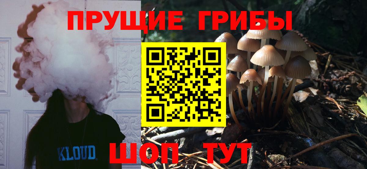 Псилоцибиновые грибы Magic Shrooms Губкинский
