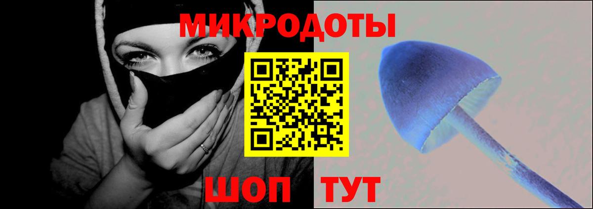 Губкинский  Псилоцибиновые грибы Cubensis  Вход с VPN 